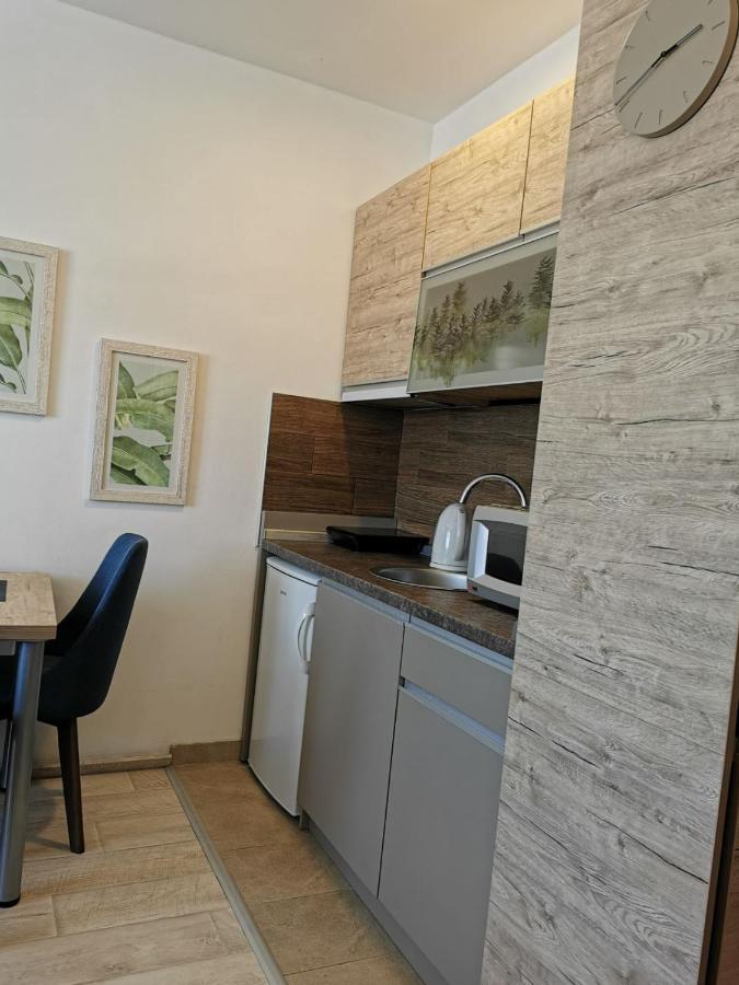 Silja Kopaonik S45 Milmari Apartman Kültér fotó