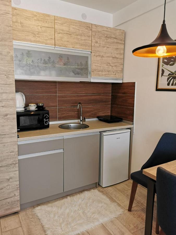 Silja Kopaonik S45 Milmari Apartman Kültér fotó